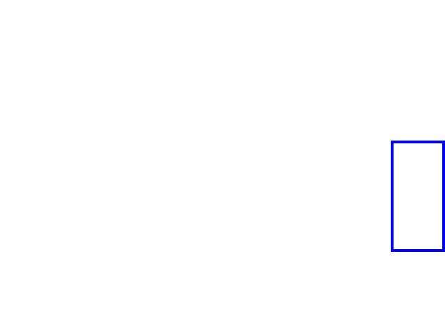 COCO_428218_box