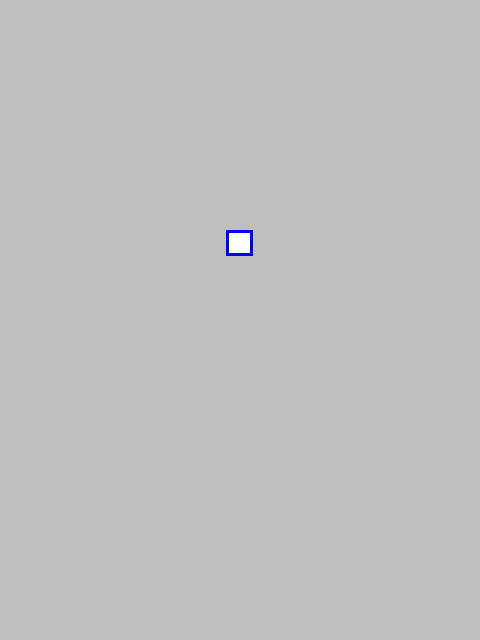 mask_COCO_437110_box