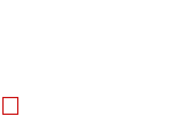 COCO_437898_box