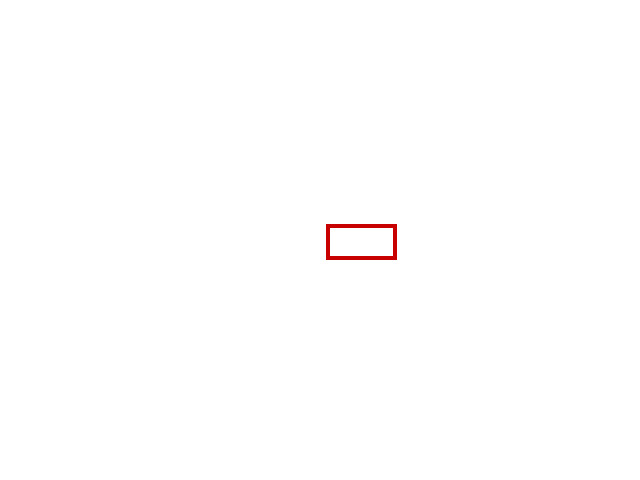 COCO_439715_box