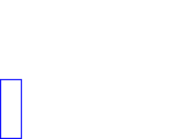 COCO_439715_box