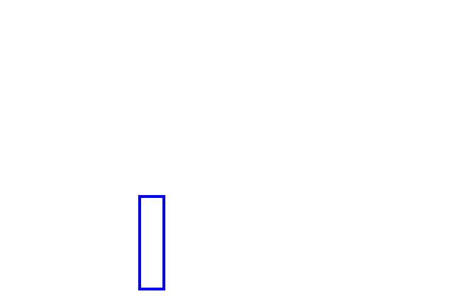 COCO_440475_box