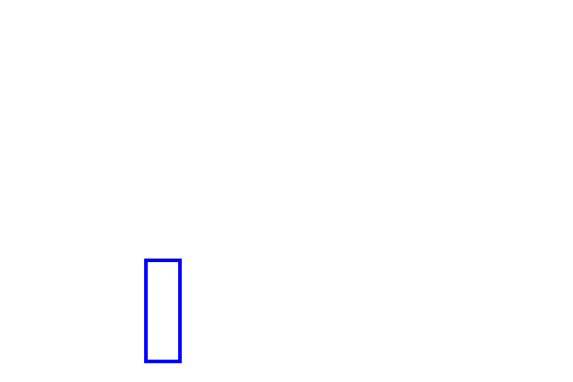 COCO_440475_box