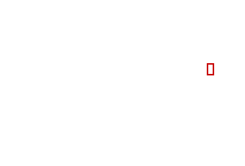 COCO_453841_box