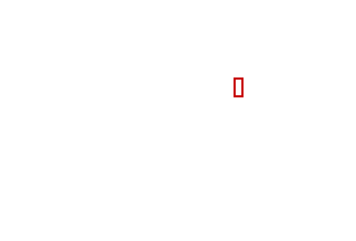 COCO_453841_box