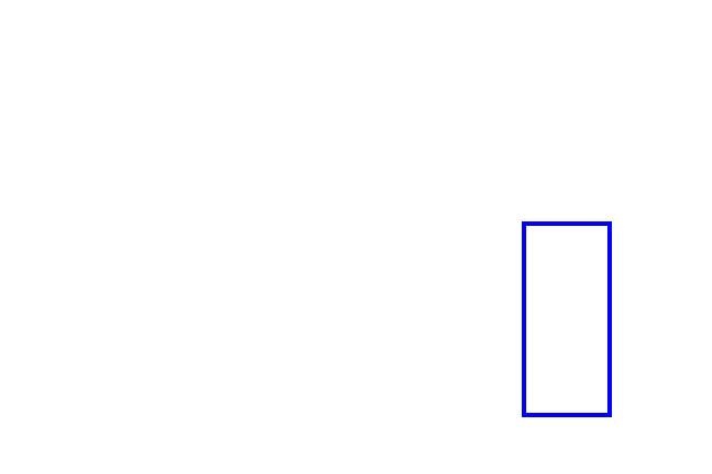 COCO_455219_box