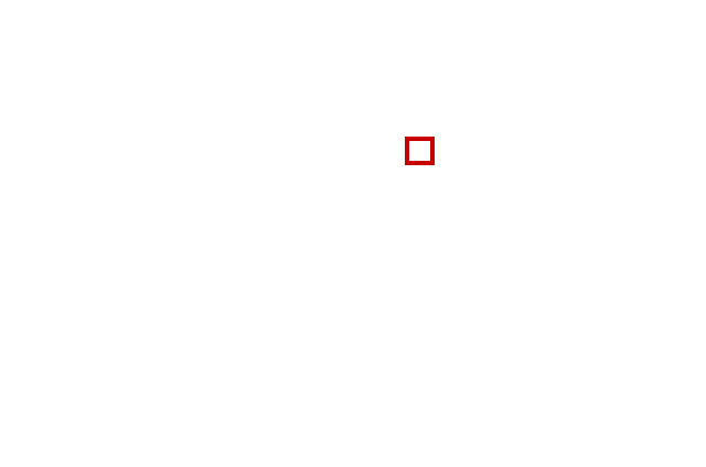COCO_460147_box