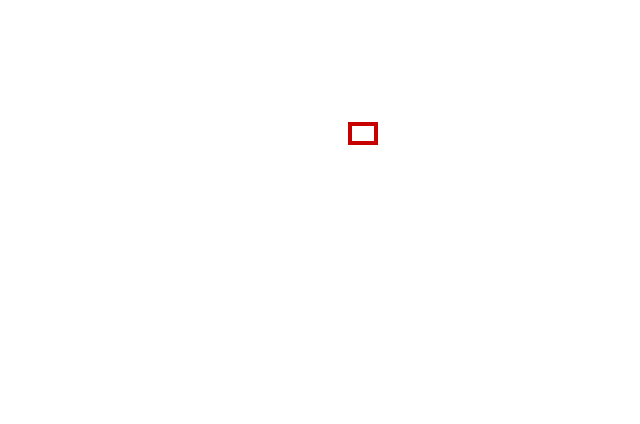 COCO_460147_box