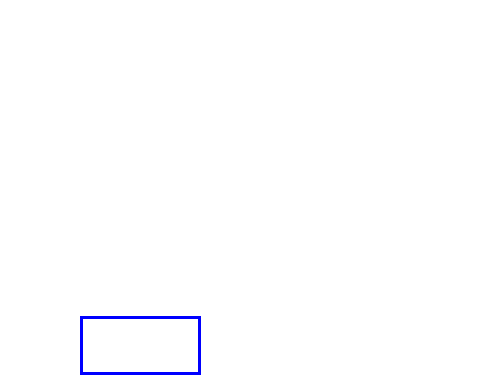 COCO_460841_box