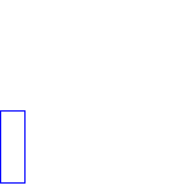 COCO_461009_box