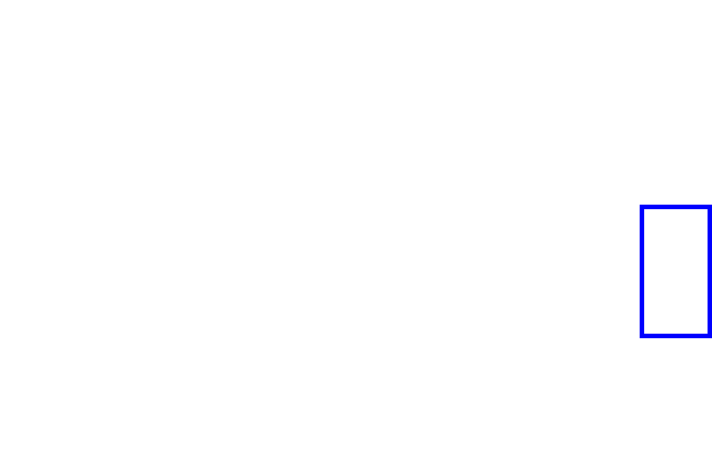 COCO_461405_box