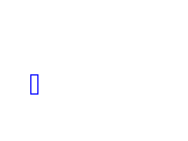 COCO_463842_box