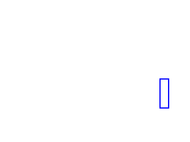 COCO_463842_box