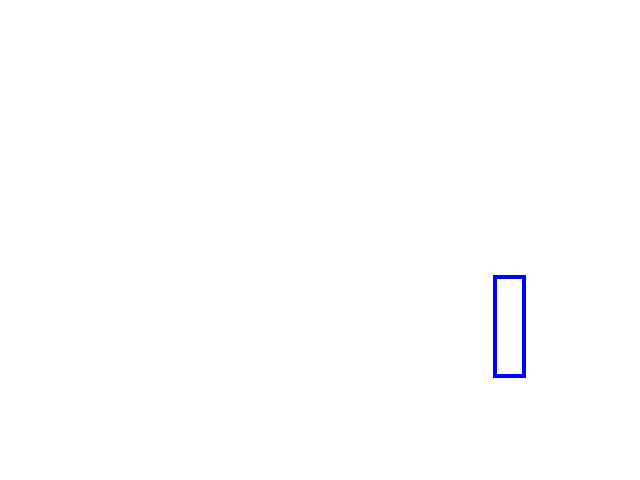 COCO_463842_box