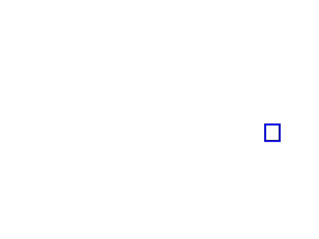 COCO_463842_box