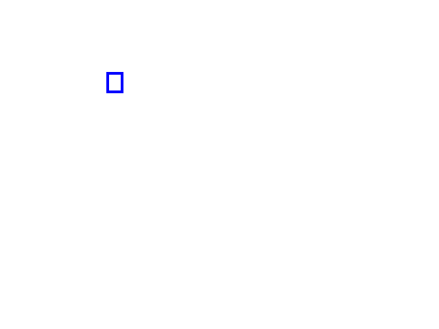 COCO_463842_box