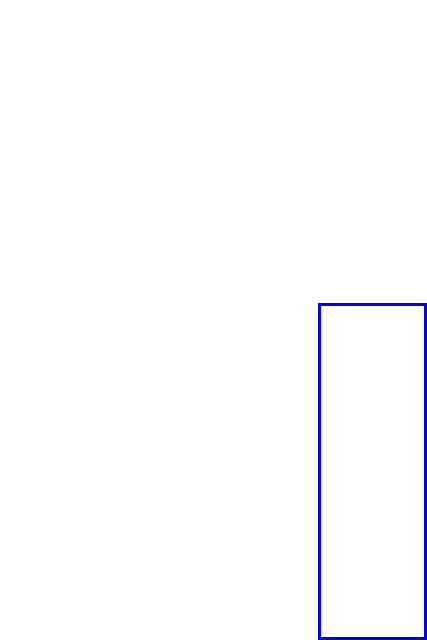 COCO_466125_box