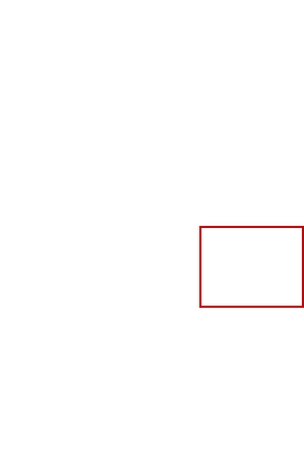 COCO_466125_box