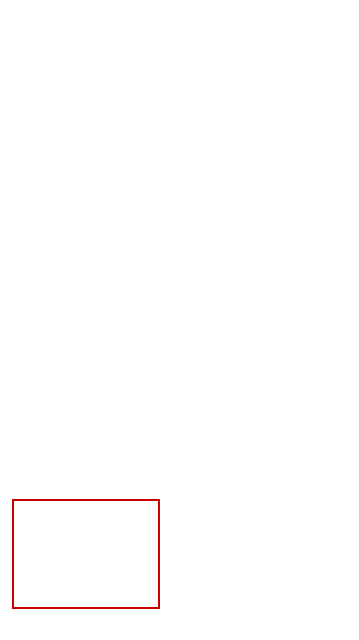 COCO_466339_box