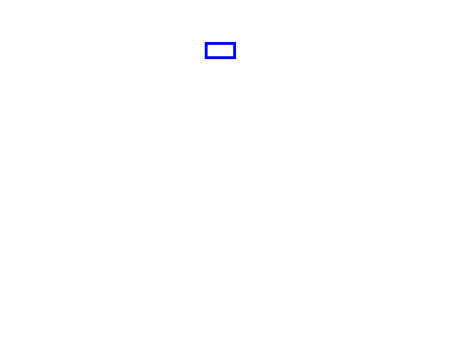 COCO_468632_box