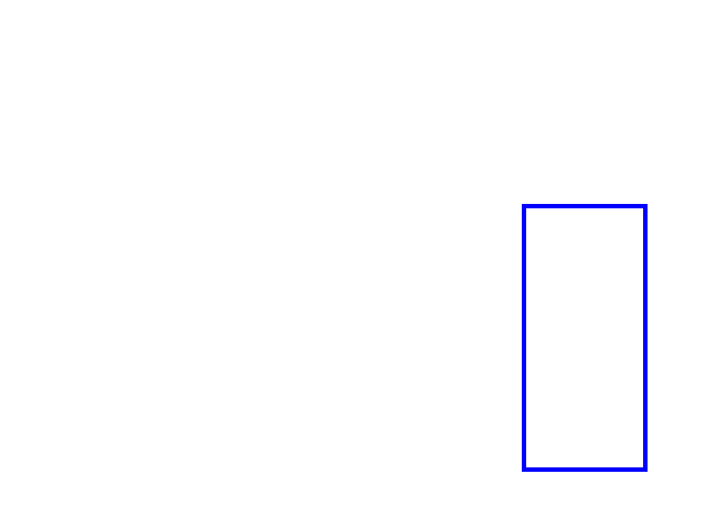COCO_468632_box