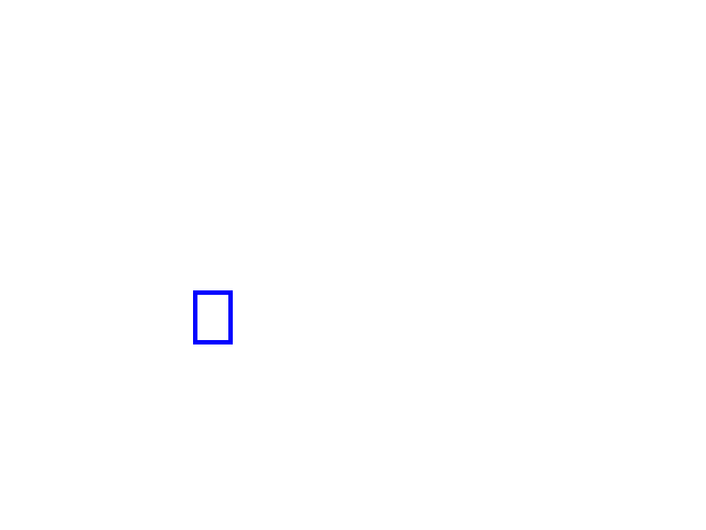 COCO_469828_box