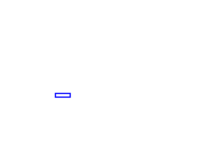 COCO_469828_box