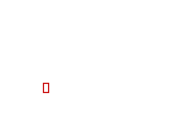COCO_474293_box