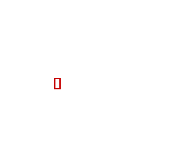 COCO_474293_box