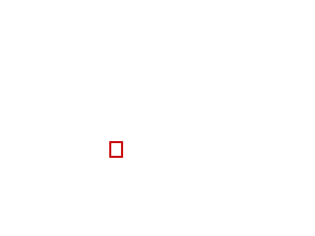 COCO_474293_box