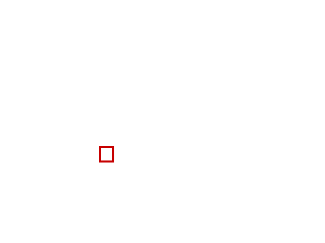 COCO_474293_box