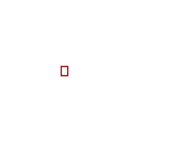 COCO_474293_box