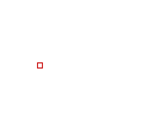 COCO_474293_box