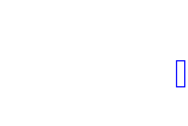 COCO_475387_box
