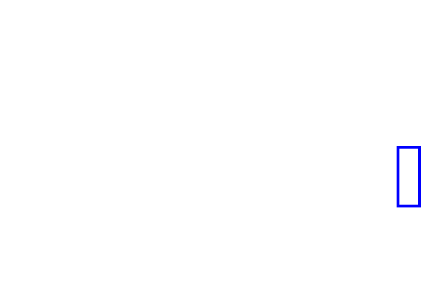 COCO_475387_box