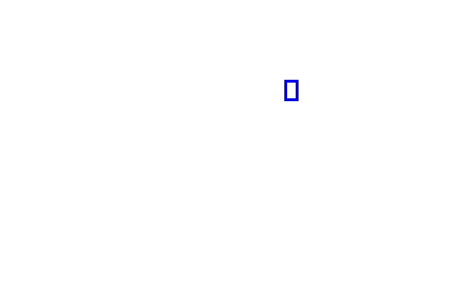 COCO_475387_box