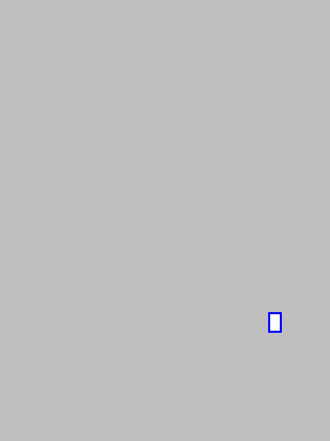 mask_COCO_74646_box
