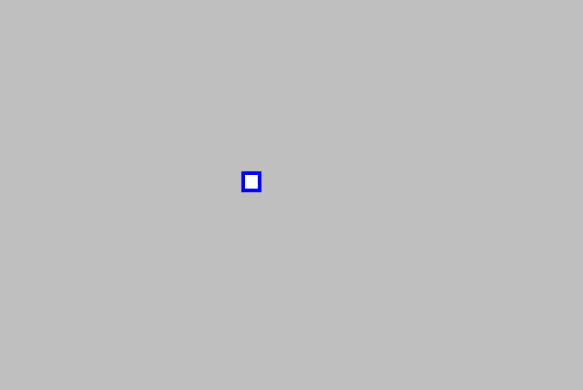 mask_COCO_78266_box