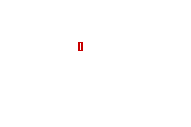 COCO_78266_box