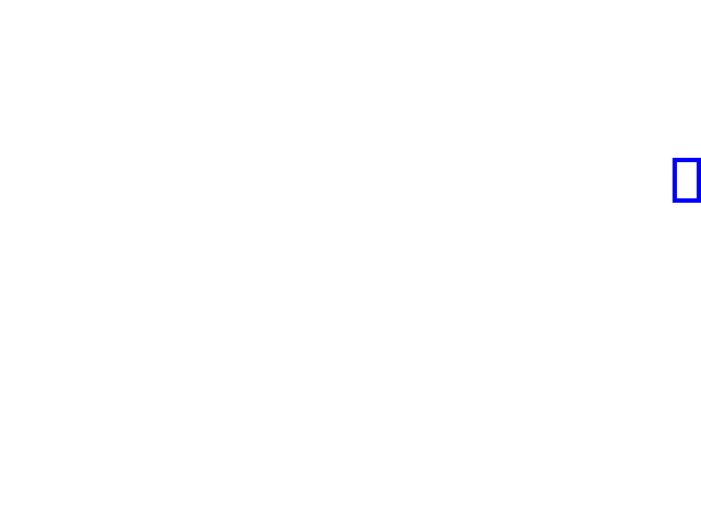 COCO_81394_box