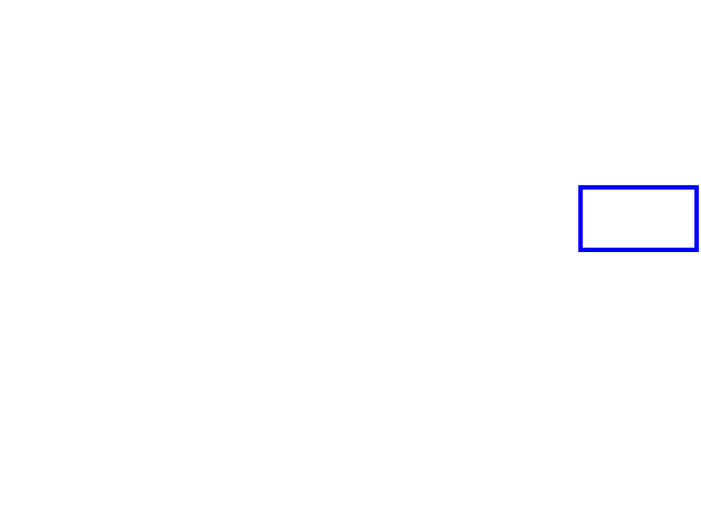 COCO_81394_box
