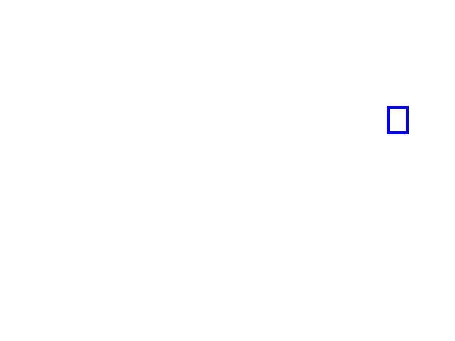 COCO_81394_box