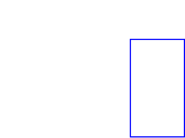 COCO_81738_box
