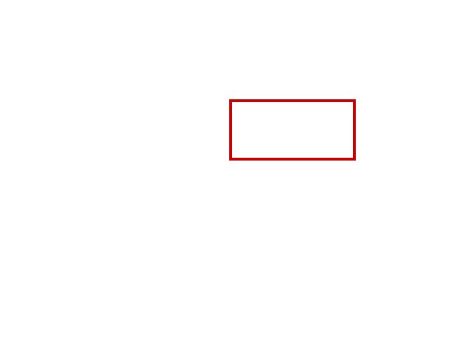 COCO_81738_box