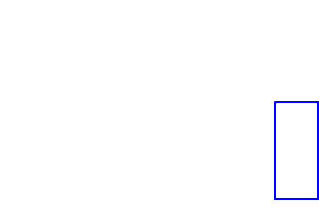 COCO_82821_box
