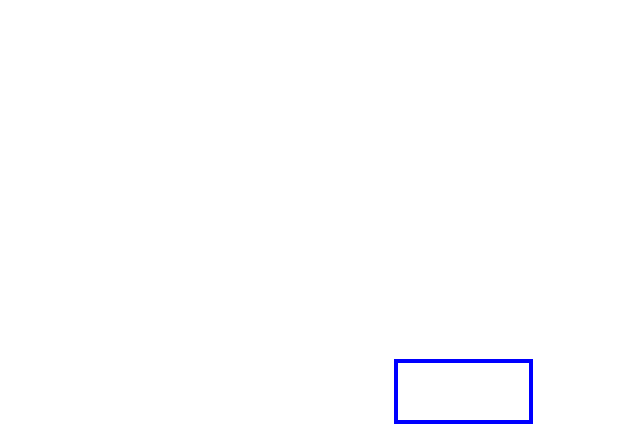 COCO_86582_box