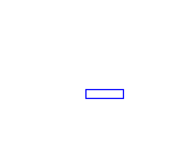 COCO_86755_box