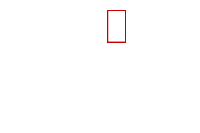 COCO_89296_box