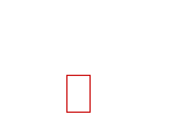 COCO_89556_box