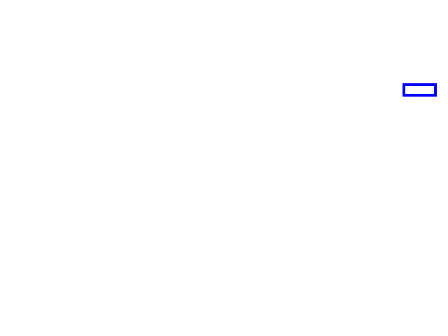 COCO_89556_box